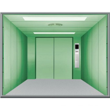 Fjzy-High Quality and Safety Freight Elevator Fjh-16002